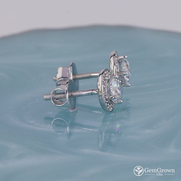Moissanite Round Cut Halo Stud Earrings In 925 Sterling Silver