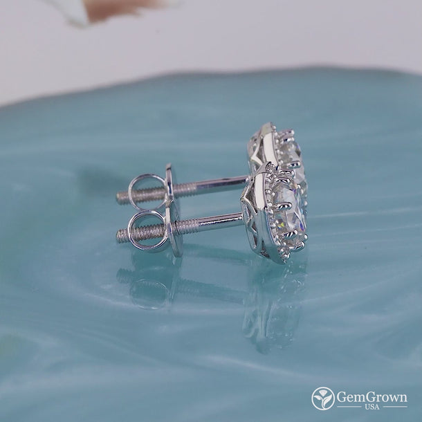 Moissanite Round Cut Halo Stud Earrings with brilliant diamond-like sparkle and timeless elegance. Perfect for weddings, gifting, and everyday luxury wear.